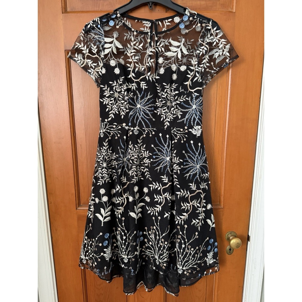 Women's Adrianna Papell Ethereal Fit & Flare Black Embroidered Dress Size 2P